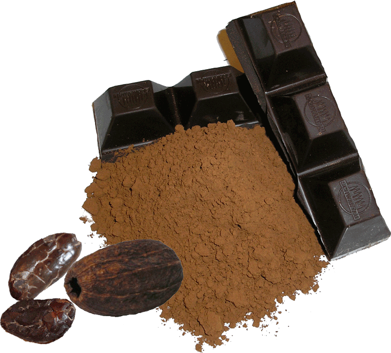 Bean-Cacao-Choc